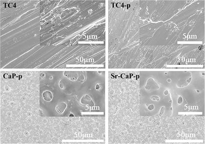 Improved Osteogenesis of Selective-Laser-Melted Titanium Alloy by Coating Strontium-Doped Phosphate With High-Efficiency Air-Plasma Treatment